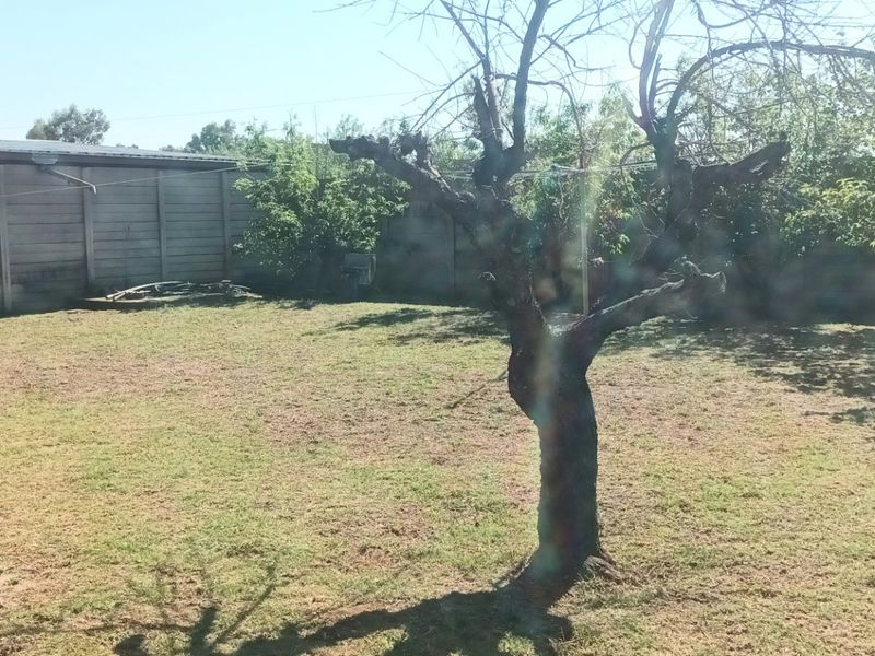 LOOKING FOR THE PERFECT HOME LITTLE TLC - Photo 4