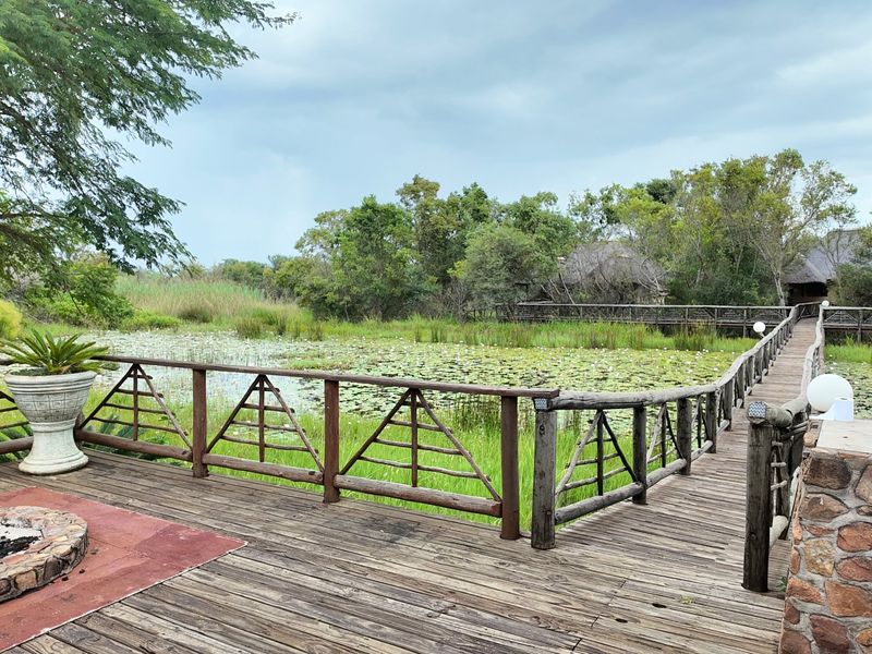 110 Hectares Luxurous Game Farm Vaalwater - Photo 10