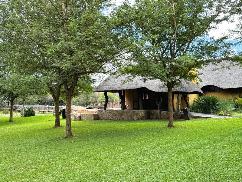 110 Hectares Luxurous Game Farm Vaalwater - Photo 9