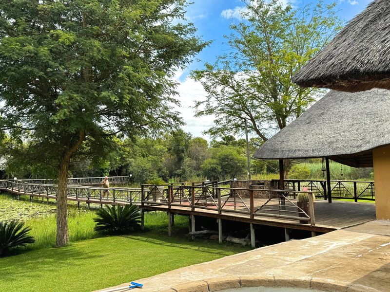 110 Hectares Luxurous Game Farm Vaalwater - Photo 7