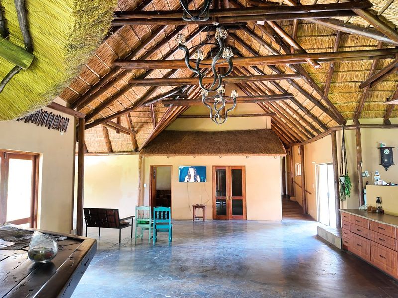 110 Hectares Luxurous Game Farm Vaalwater - Photo 6