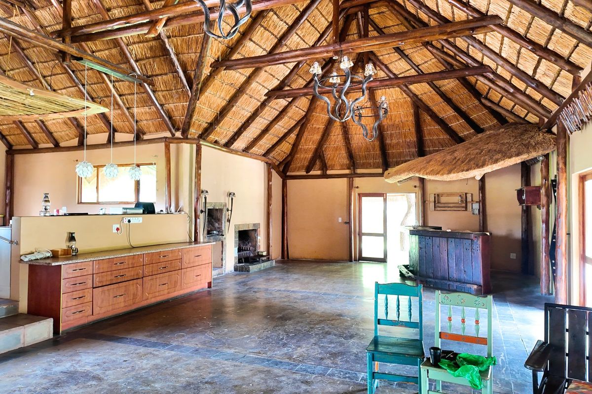 110 Hectares Luxurous Game Farm Vaalwater - Photo 4