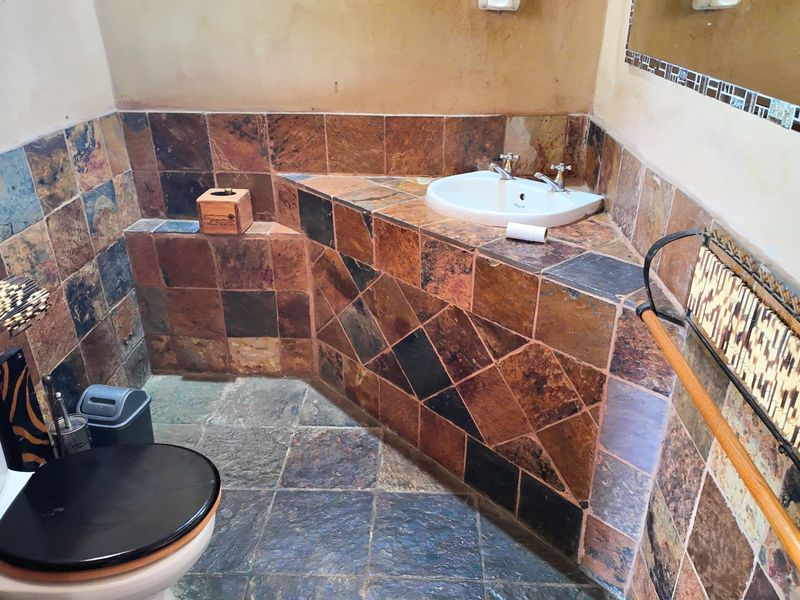 110 Hectares Luxurous Game Farm Vaalwater - Photo 3