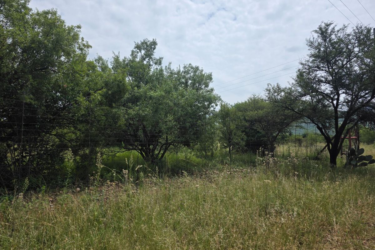 Freestanding Full-Title Smallholding for Sale – Prime Virgin Ground at a Giveaway Price! - Photo 3