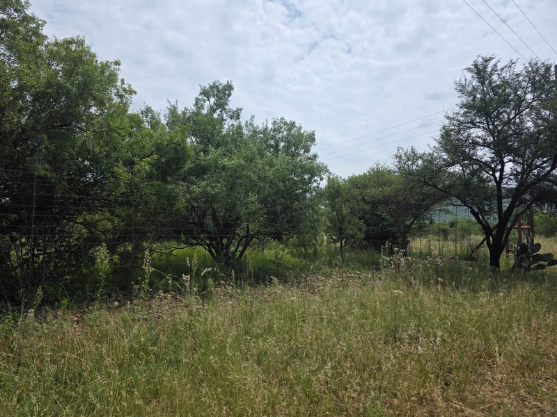 Freestanding Full-Title Smallholding for Sale – Prime Virgin Ground at a Giveaway Price! - Photo 3