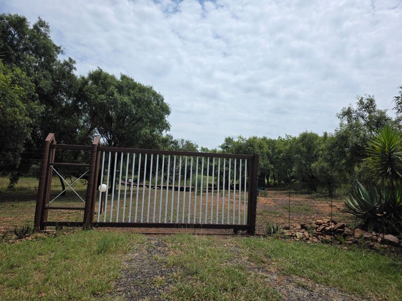 Freestanding Full-Title Smallholding for Sale – Prime Virgin Ground at a Giveaway Price! - Photo 5