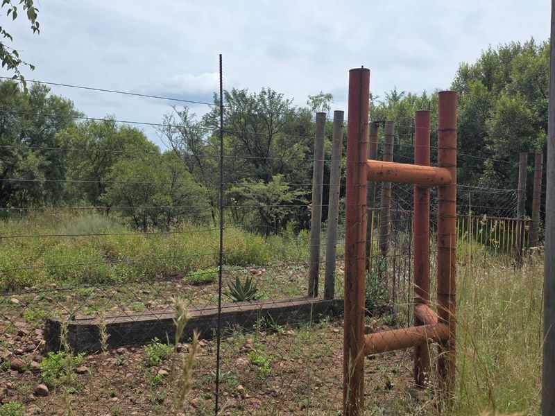 Freestanding Full-Title Smallholding for Sale – Prime Virgin Ground at a Giveaway Price! - Photo 9