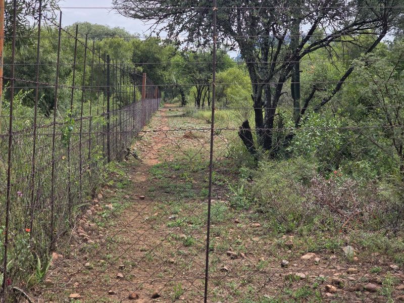 Freestanding Full-Title Smallholding for Sale – Prime Virgin Ground at a Giveaway Price! - Photo 9