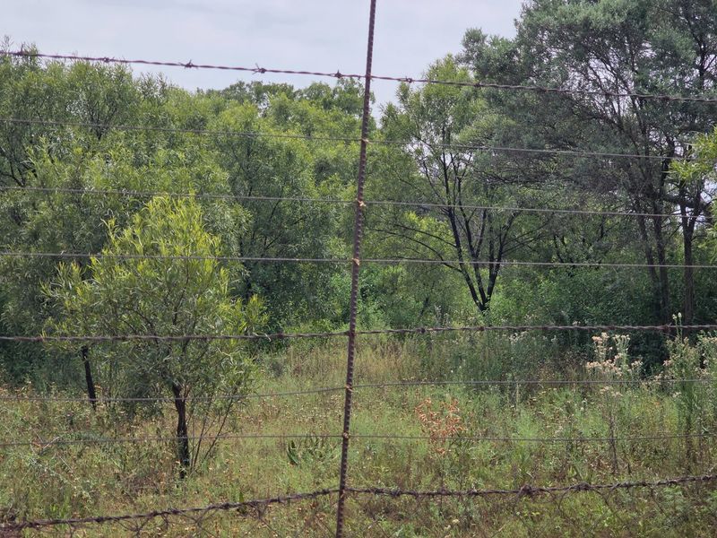 Freestanding Full-Title Smallholding for Sale – Prime Virgin Ground at a Giveaway Price! - Photo 8