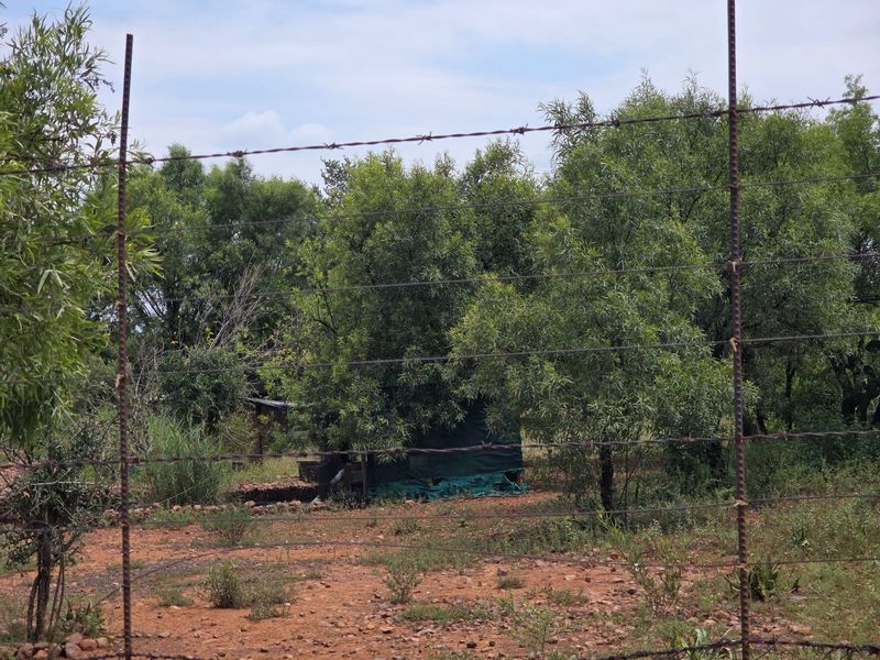 Freestanding Full-Title Smallholding for Sale – Prime Virgin Ground at a Giveaway Price! - Photo 7