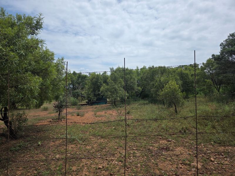 Freestanding Full-Title Smallholding for Sale – Prime Virgin Ground at a Giveaway Price! - Photo 6