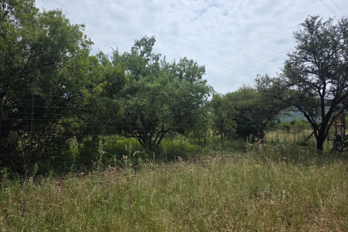 Freestanding Full-Title Smallholding for Sale – Prime Virgin Ground at a Giveaway Price! - Photo 4