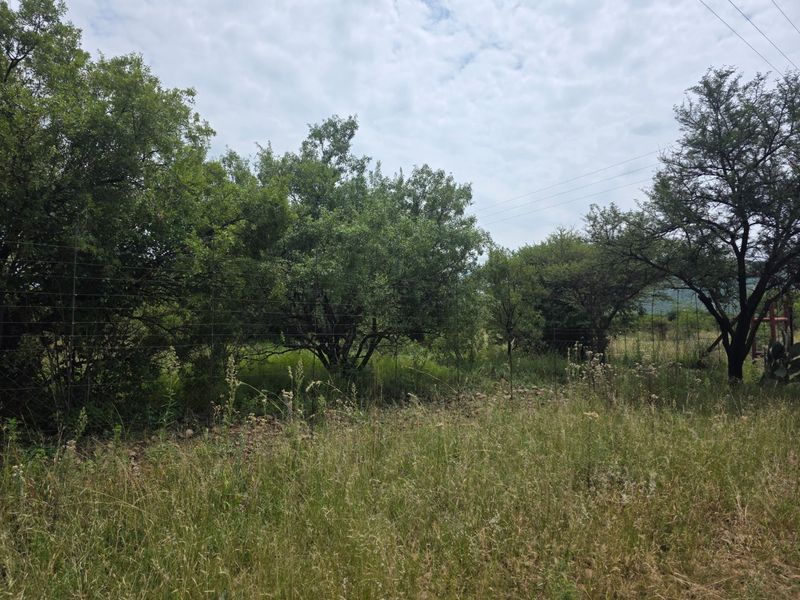 Freestanding Full-Title Smallholding for Sale – Prime Virgin Ground at a Giveaway Price! - Photo 4