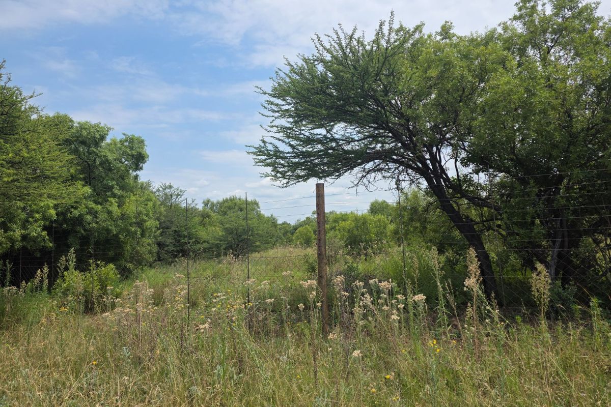 Freestanding Full-Title Smallholding for Sale – Prime Virgin Ground at a Giveaway Price! - Photo 2