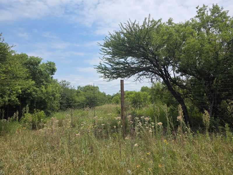 Freestanding Full-Title Smallholding for Sale – Prime Virgin Ground at a Giveaway Price! - Photo 2