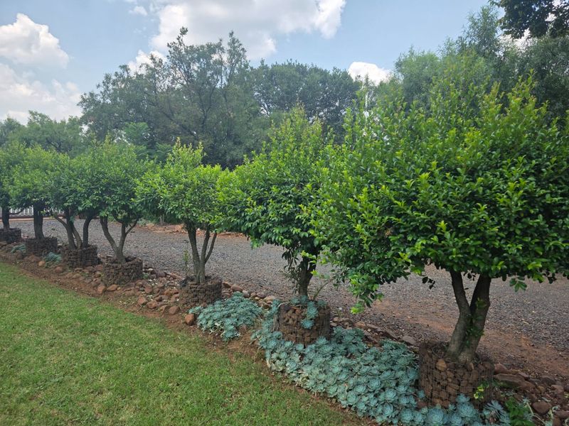 Charming Hartbeespoort Farm with Pool, Loft area and Flatlet - Photo 2