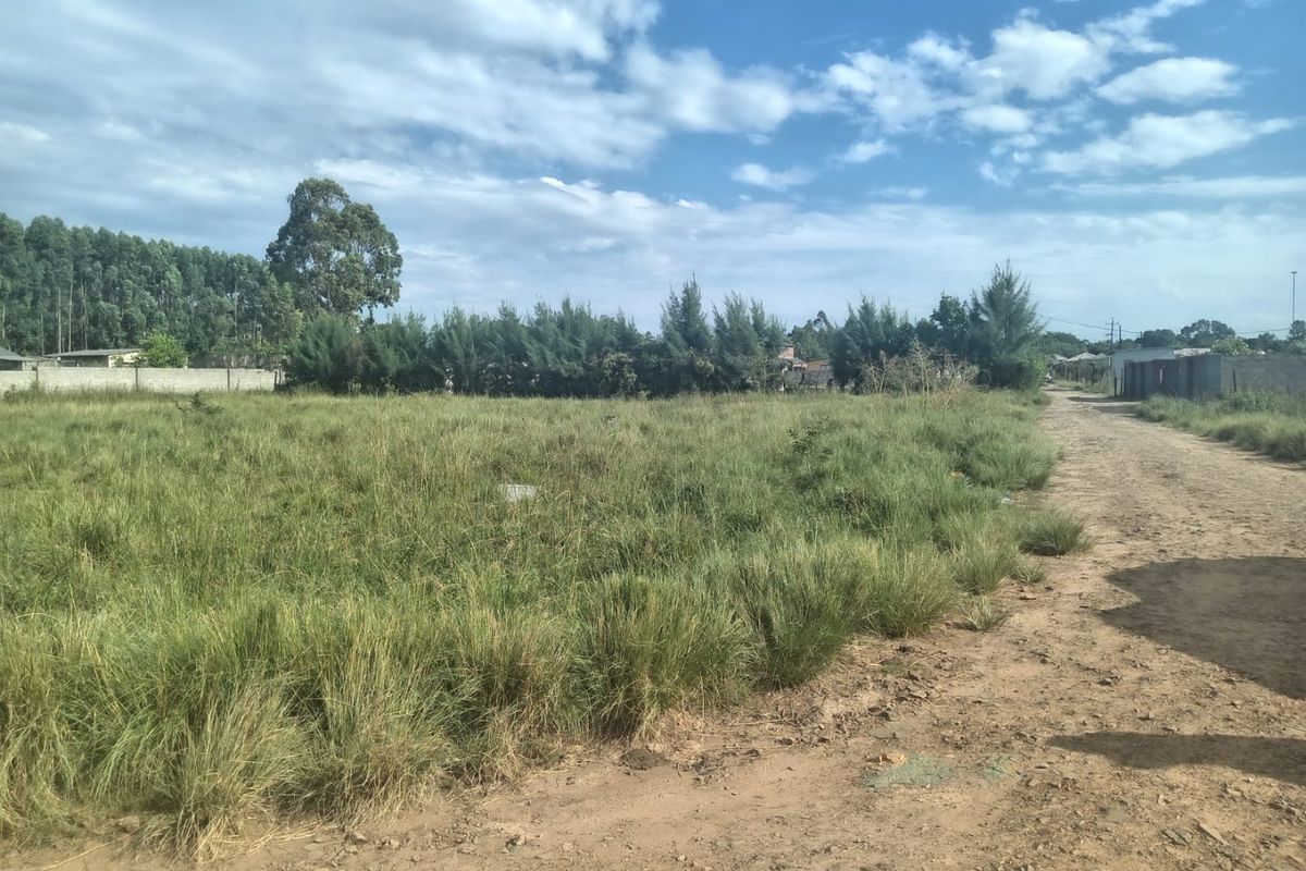A vacant residential plot featuring natural grass cover and direct access via an unpaved dirt road, suitable for future development.