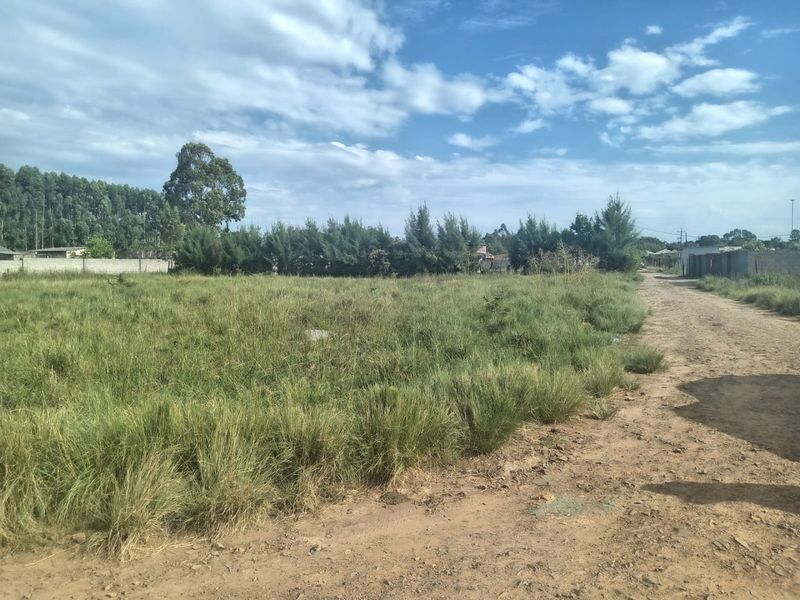 A vacant residential plot featuring natural grass cover and direct access via an unpaved dirt road, suitable for future development.