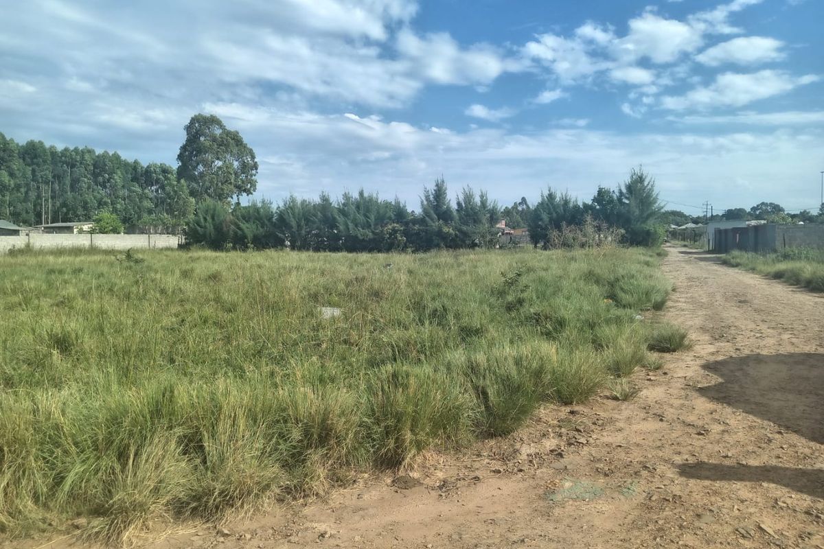 A vacant residential plot featuring overgrown grass, mature trees, and an unpaved access road, enclosed by a perimeter boundary wall.