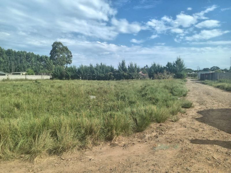 A vacant residential plot featuring overgrown grass, mature trees, and an unpaved access road, enclosed by a perimeter boundary wall.