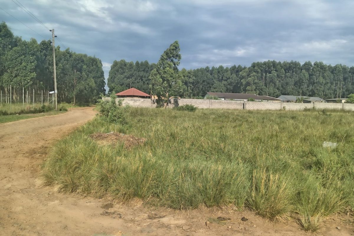 A vacant residential plot featuring an unpaved access road, perimeter walling, and established trees in a quiet, semi-rural setting.