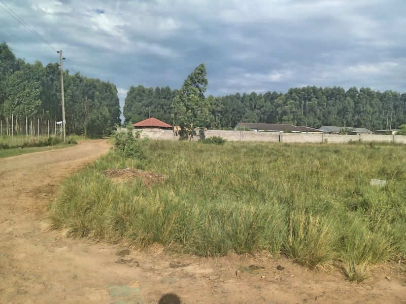 A vacant residential plot featuring an unpaved access road, perimeter walling, and established trees in a quiet, semi-rural setting.