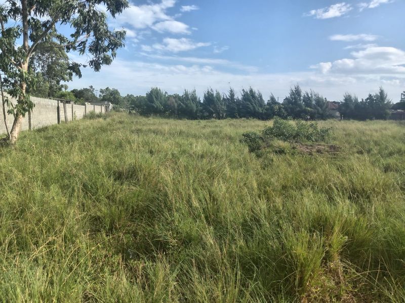 A vacant residential plot featuring overgrown grass, mature trees, and a perimeter boundary wall, offering a blank canvas for future development.