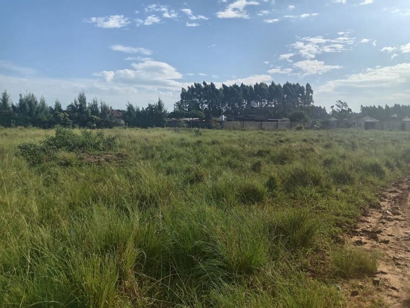 A view of a vacant residential plot featuring natural grassland and an unpaved access path, suitable for future development.