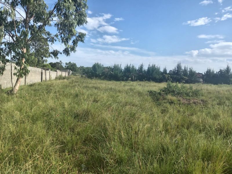 A vacant residential plot featuring overgrown grass and a concrete block boundary wall, offering a blank canvas for future development.