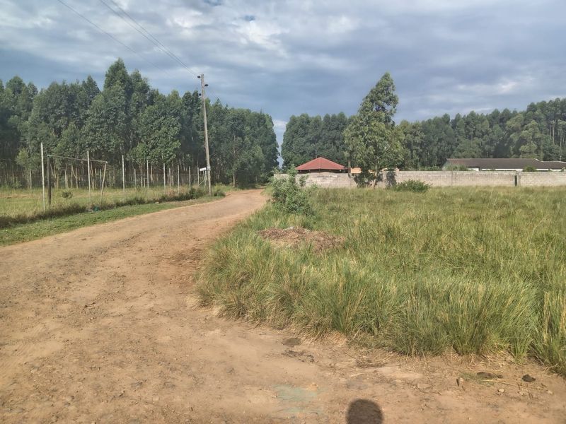 A view of a dirt access road leading towards a residential plot, featuring perimeter fencing and a concrete block boundary wall.