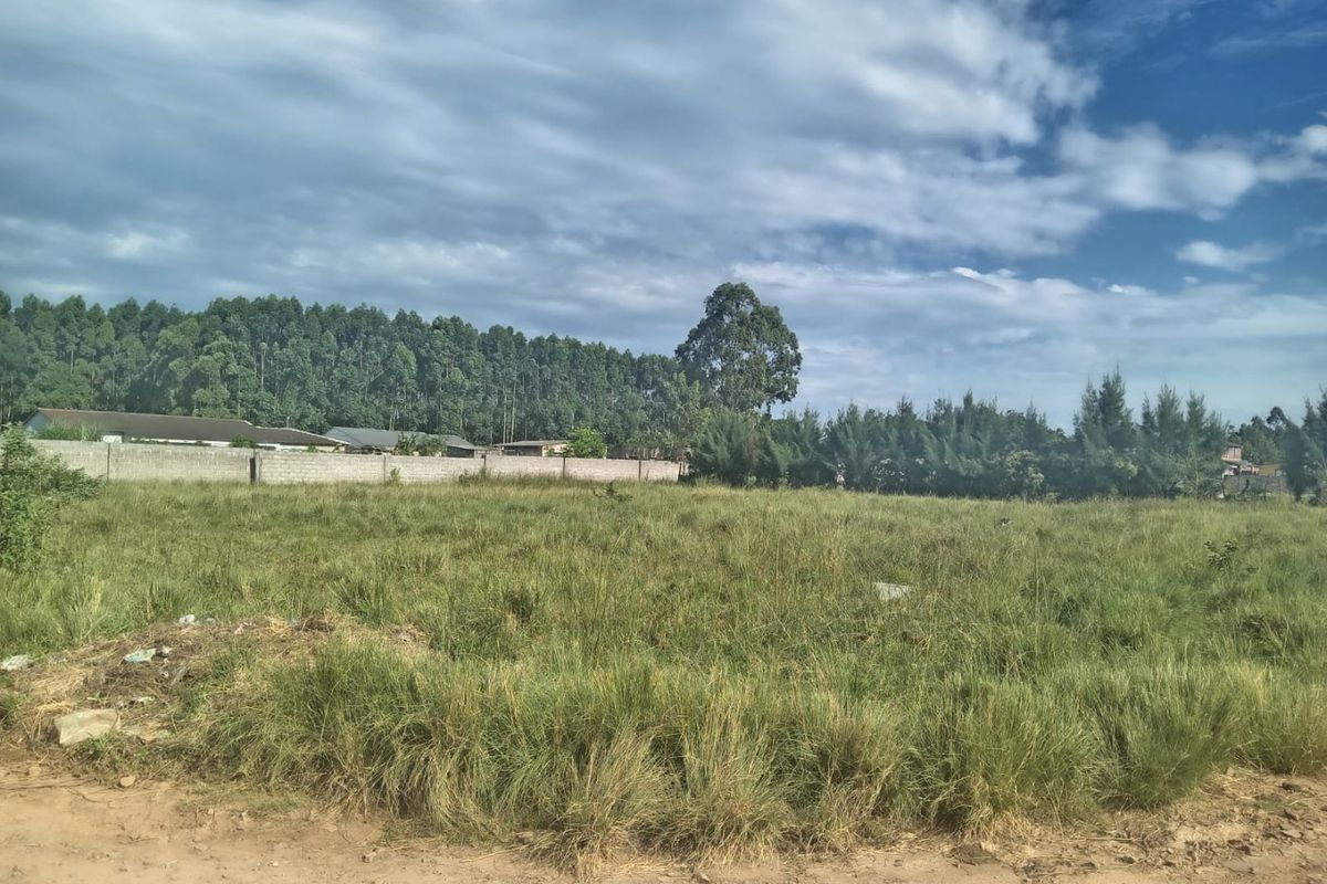 A vacant residential plot featuring a perimeter wall and established grass, offering a clear space for future development.