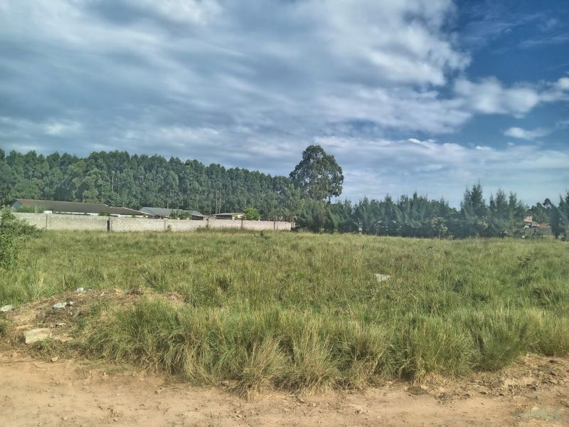 A vacant residential plot featuring a perimeter wall and established grass, offering a clear space for future development.