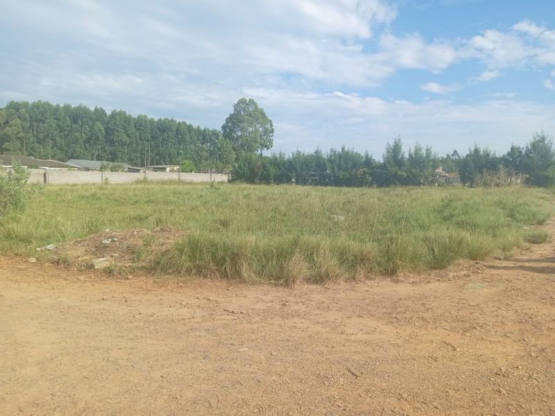 A vacant residential plot featuring natural grass cover, bordered by a perimeter wall and mature trees, accessible via an unpaved road.