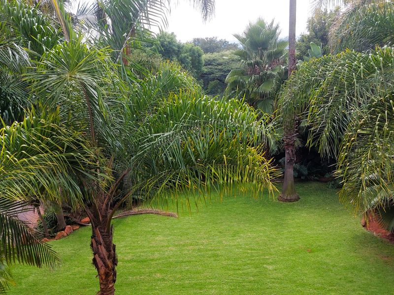 Commercial Space. 640 m2 . Moreleta Park - Photo 10