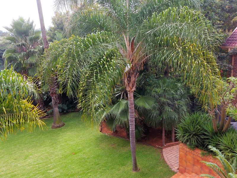 Office Space. 640 m2 . Moreleta Park - Photo 9