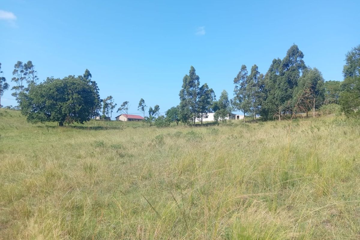 0 Bed Vacant Land in Ongoye, Empangeni Rural for Sale - Photo 2