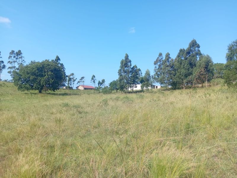 0 Bed Vacant Land in Ongoye, Empangeni Rural for Sale - Photo 2