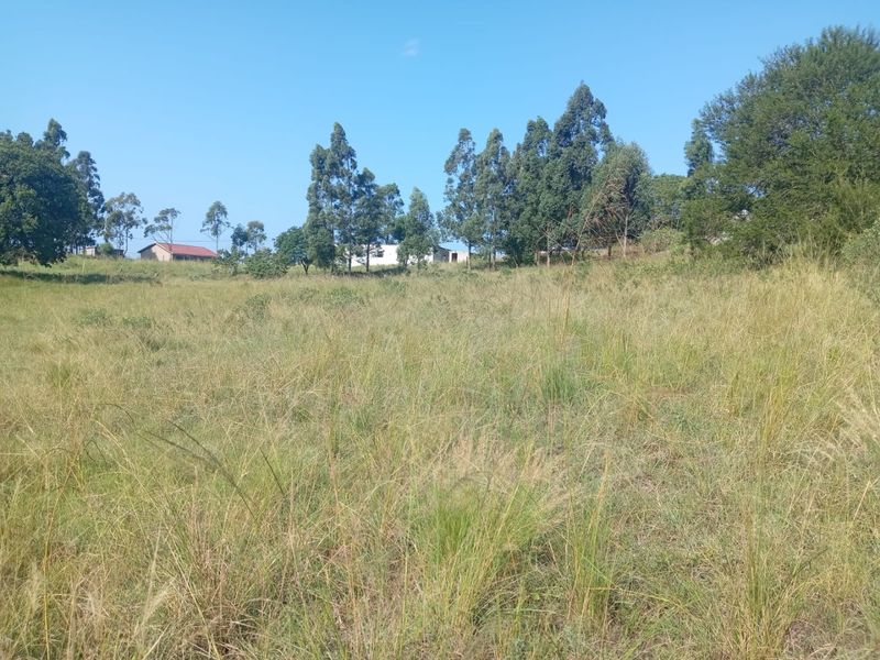 0 Bed Vacant Land in Ongoye, Empangeni Rural for Sale - Photo 6