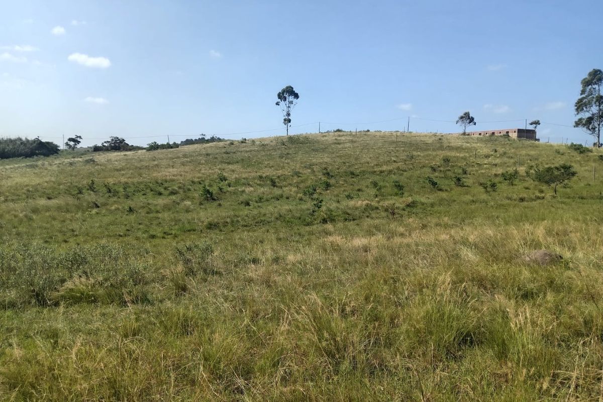 0 Bed Vacant Land in Ongoye, Empangeni Rural for Sale - Photo 5