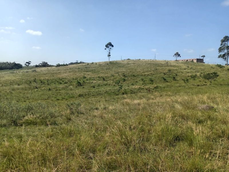 0 Bed Vacant Land in Ongoye, Empangeni Rural for Sale - Photo 5