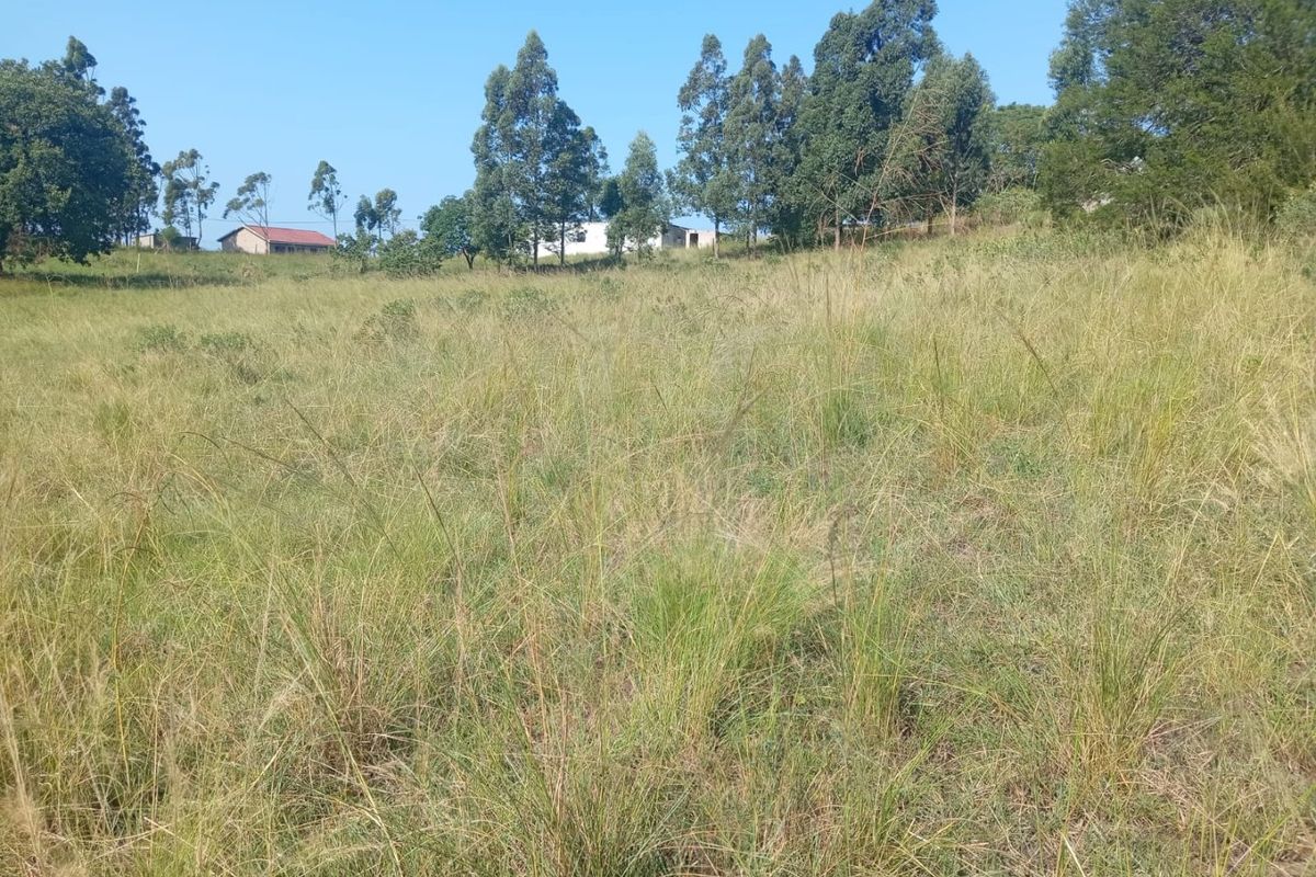 0 Bed Vacant Land in Ongoye, Empangeni Rural for Sale - Photo 3