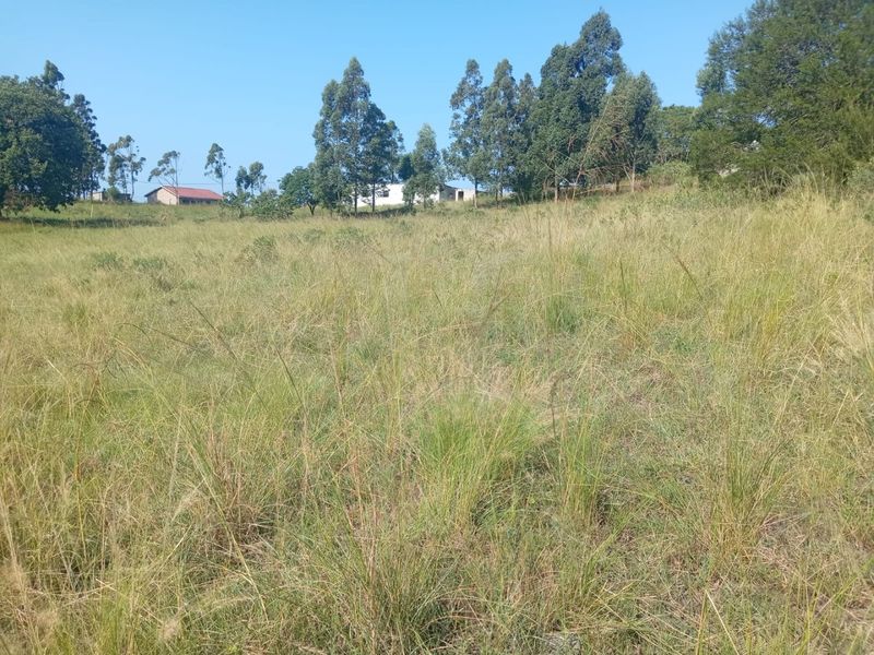 0 Bed Vacant Land in Ongoye, Empangeni Rural for Sale - Photo 3