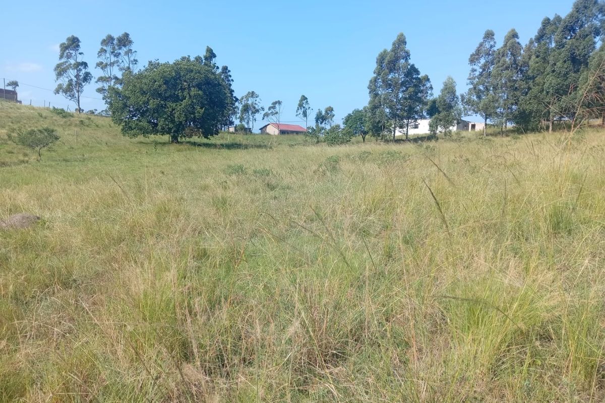 0 Bed Vacant Land in Ongoye, Empangeni Rural for Sale - Photo 4