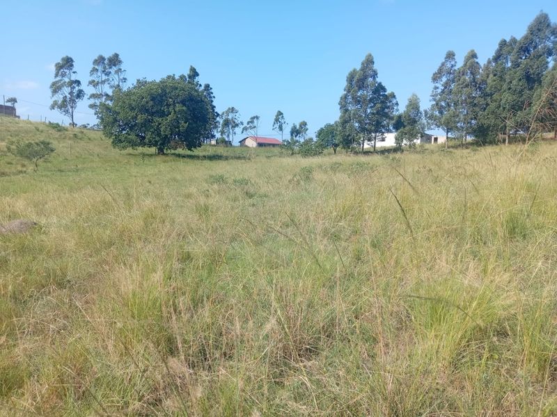 0 Bed Vacant Land in Ongoye, Empangeni Rural for Sale - Photo 4