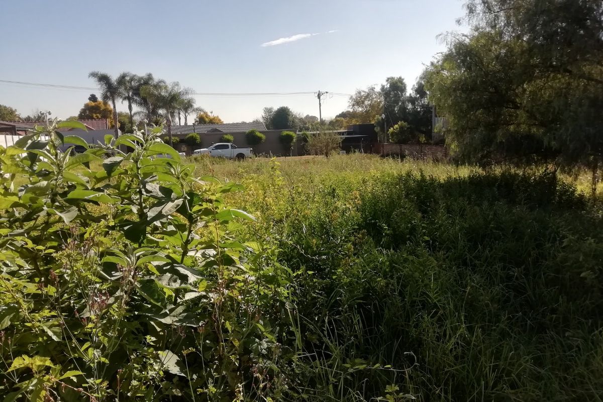 A view of an overgrown residential plot featuring mature trees and dense vegetation, offering a blank canvas for future development.