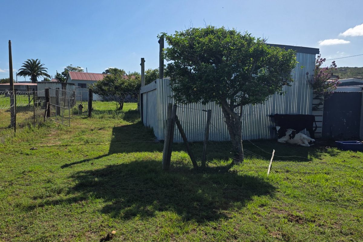Vacant Land For Sale... Rural Community... Close to Hartenbos !!! - Photo 3
