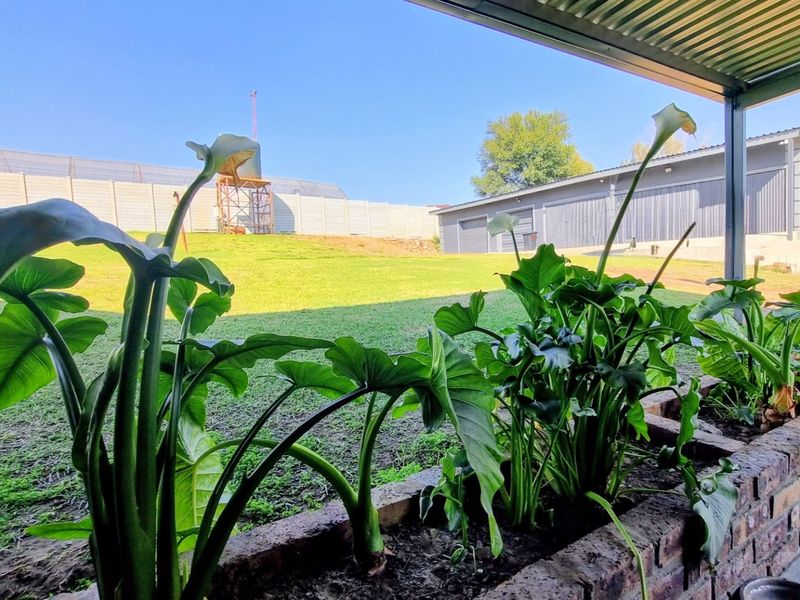 A covered patio area featuring a brick planter box and tiled flooring, overlooking a spacious backyard with a perimeter wall.