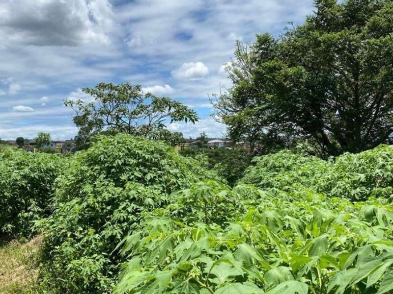 Vacant land opportunity in Clermont - Photo 3