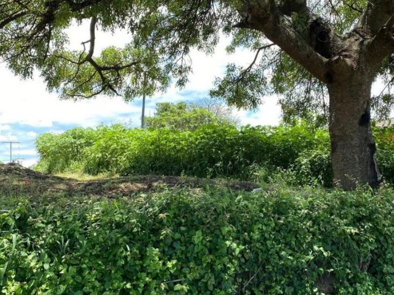 Vacant land opportunity in Clermont - Photo 4