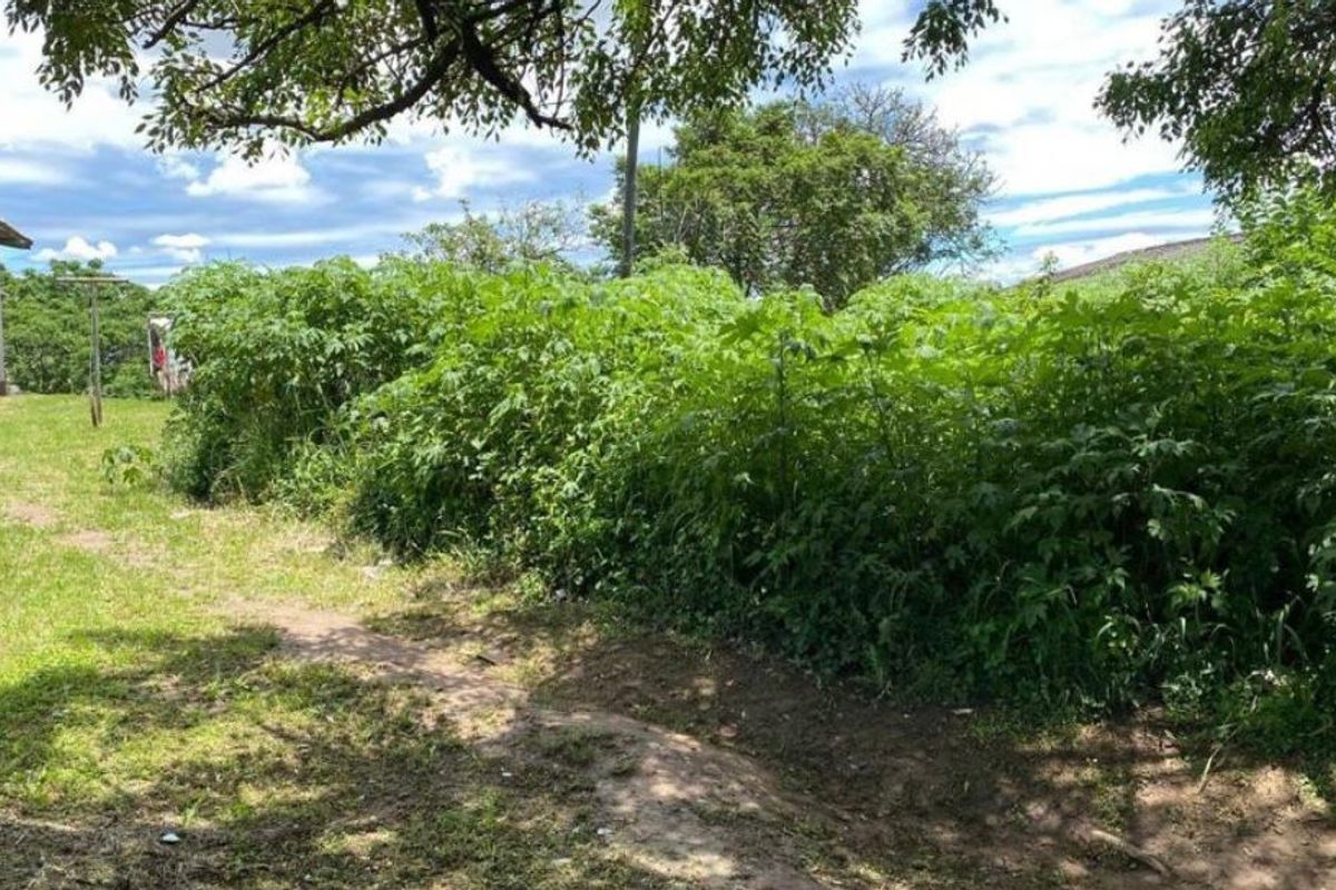 Vacant land opportunity in Clermont - Photo 2